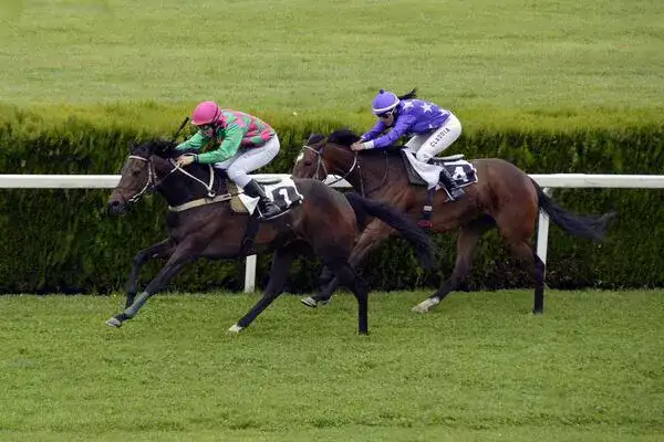 aintreeroofer